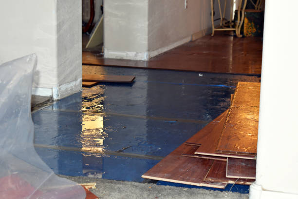 Professional Water Damage Restoration technician working in Houston, AL